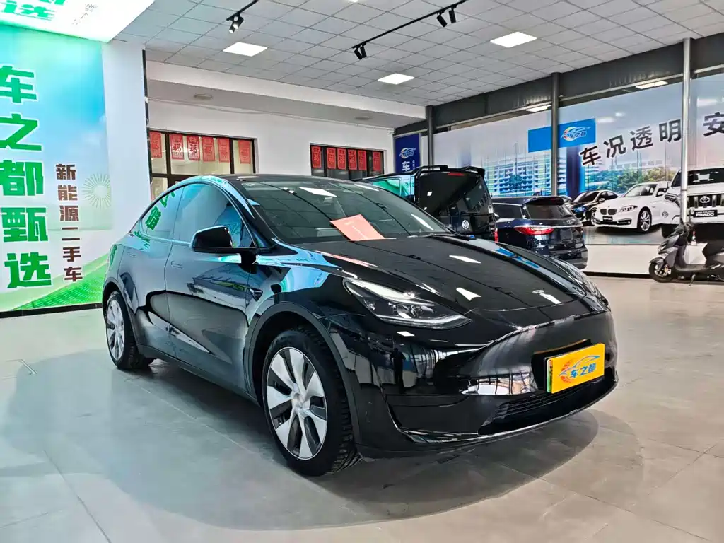 Tesla Model Y — фото 3