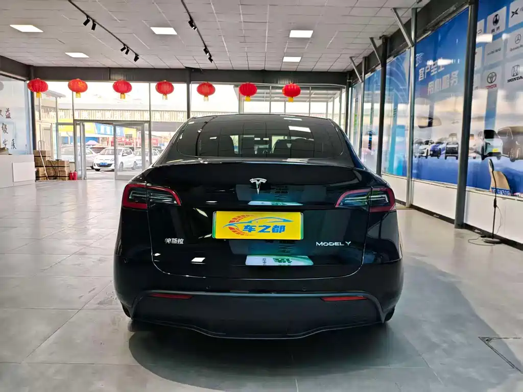 Tesla Model Y — фото 8