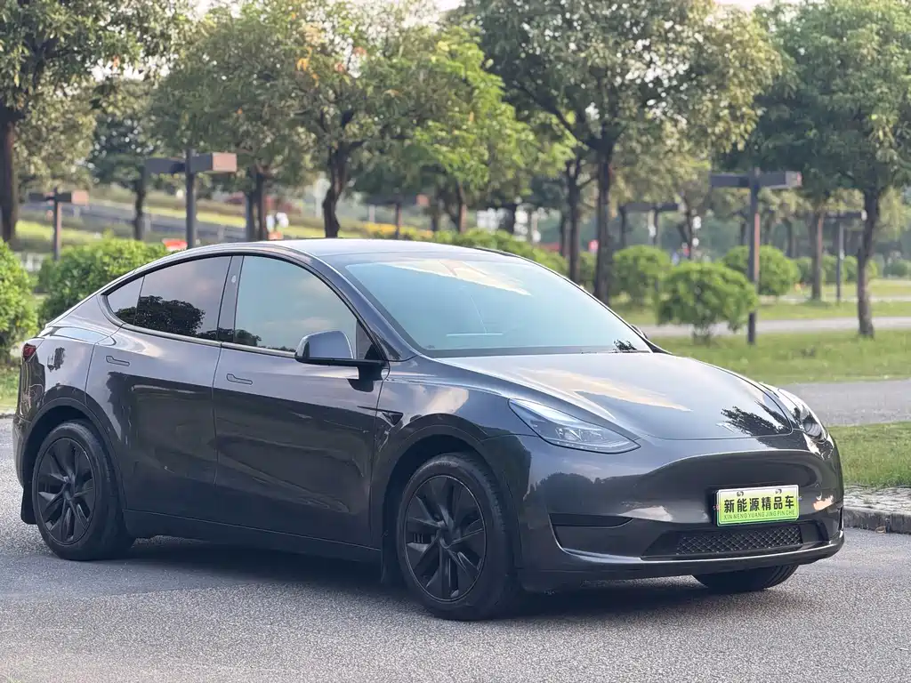 Tesla Model Y — фото 2