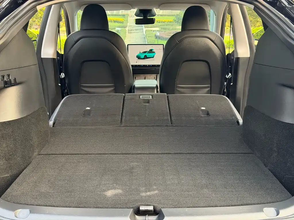 Tesla Model Y — фото 11