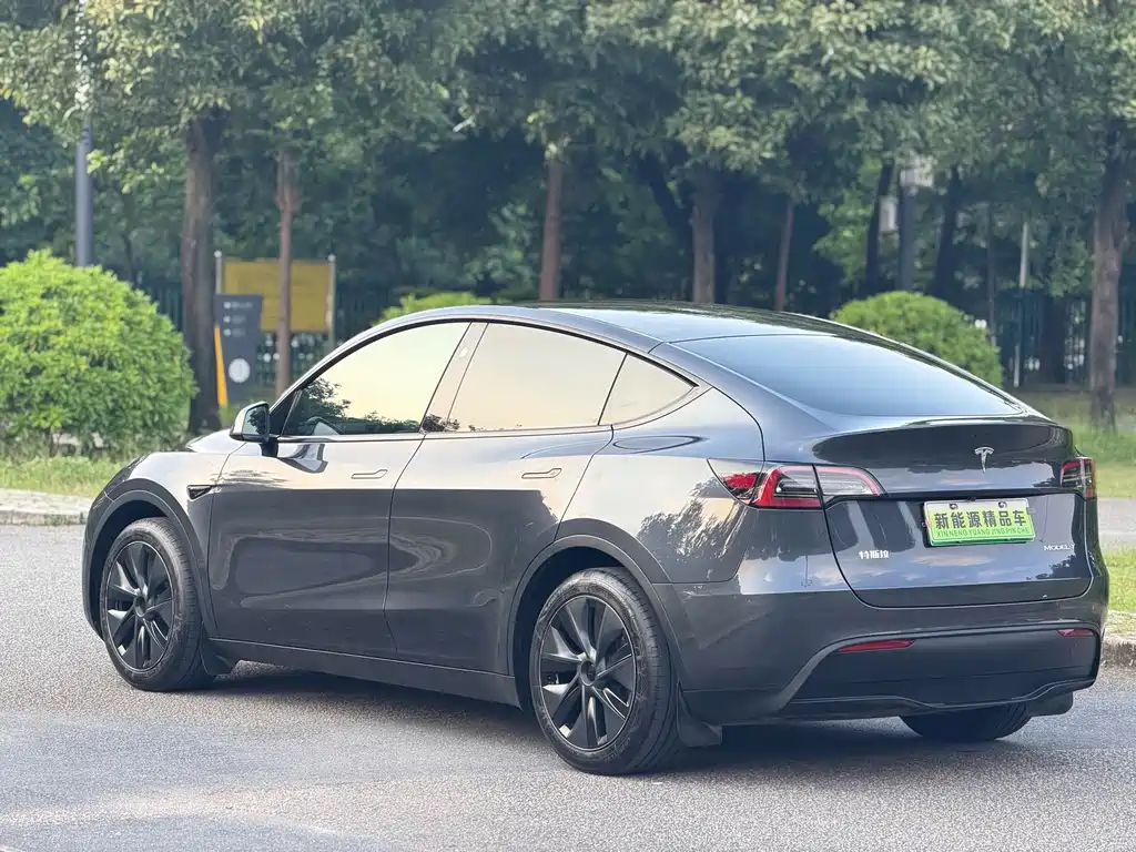 Tesla Model Y — фото 17