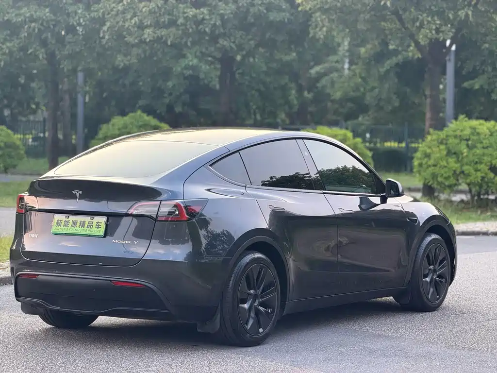Tesla Model Y — фото 18