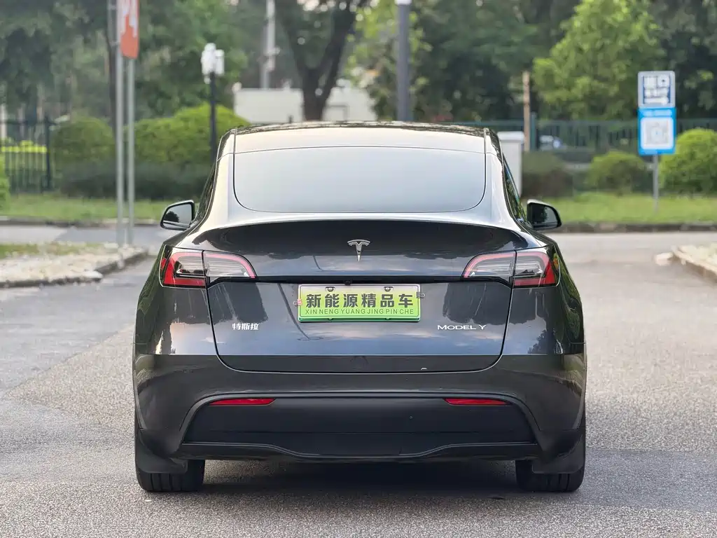 Tesla Model Y — фото 19