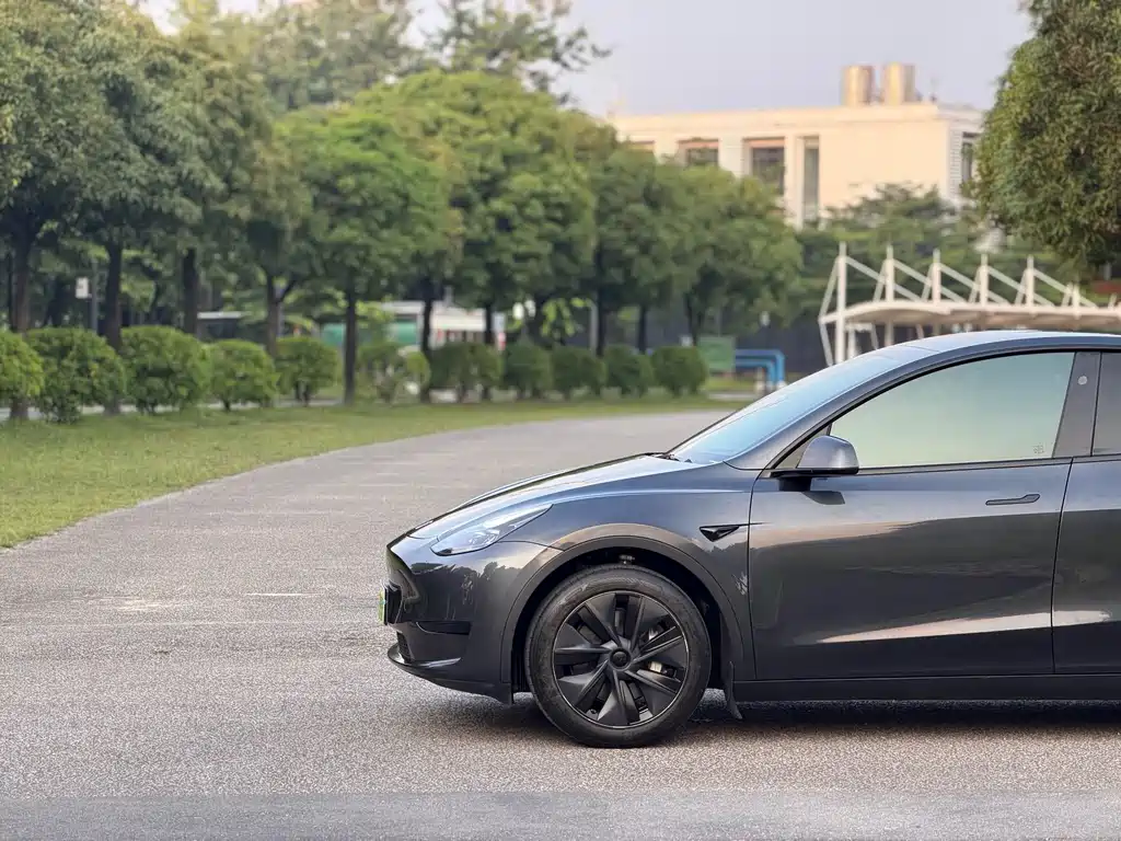 Tesla Model Y — фото 20