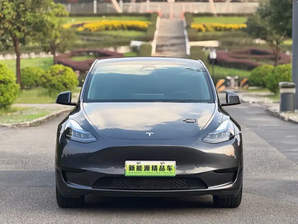 Tesla Model Y — фото 3