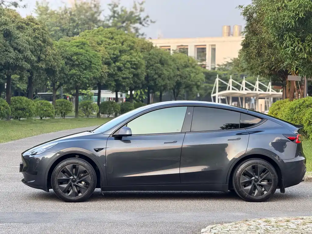 Tesla Model Y — фото 21