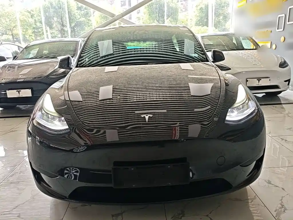 Tesla Model Y — фото 3