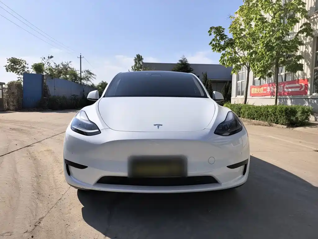 Tesla Model Y — фото 3
