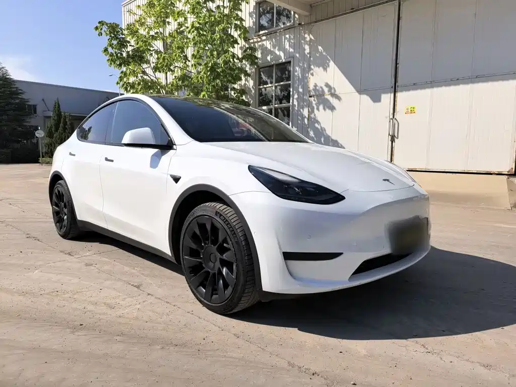 Tesla Model Y — фото 4