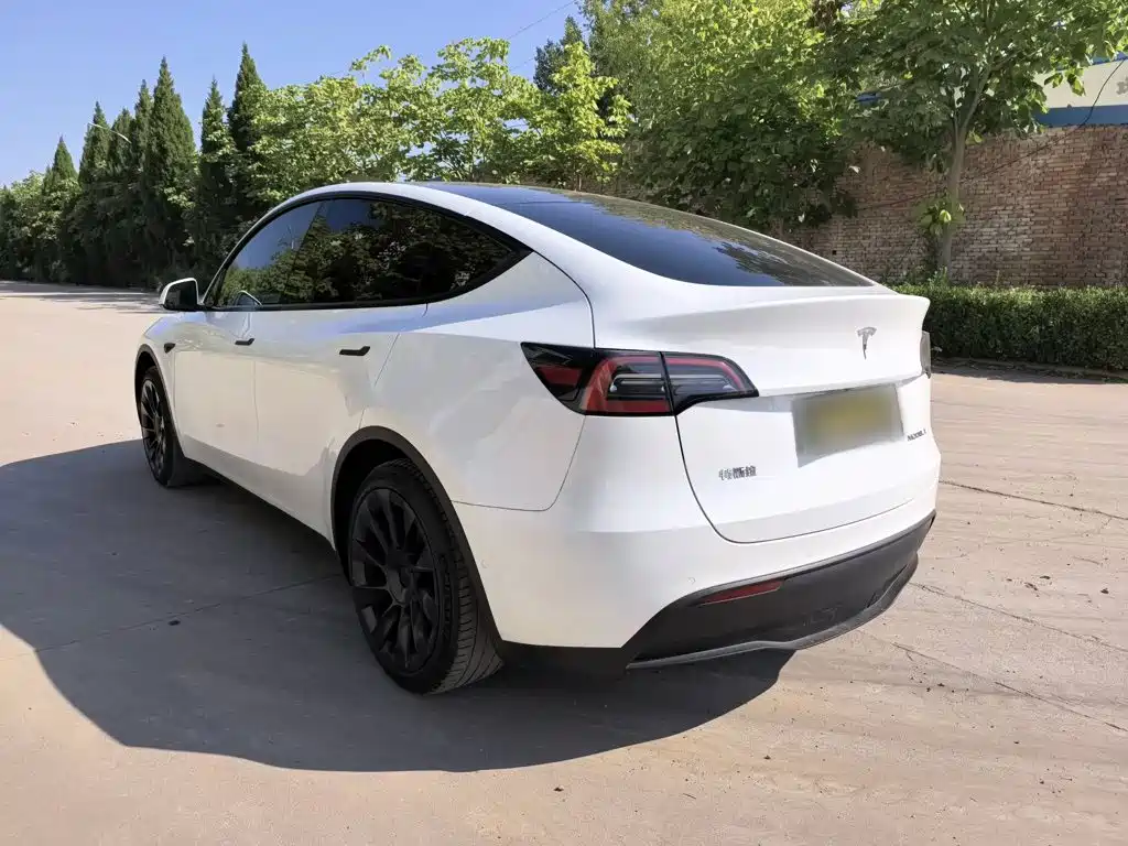 Tesla Model Y — фото 5