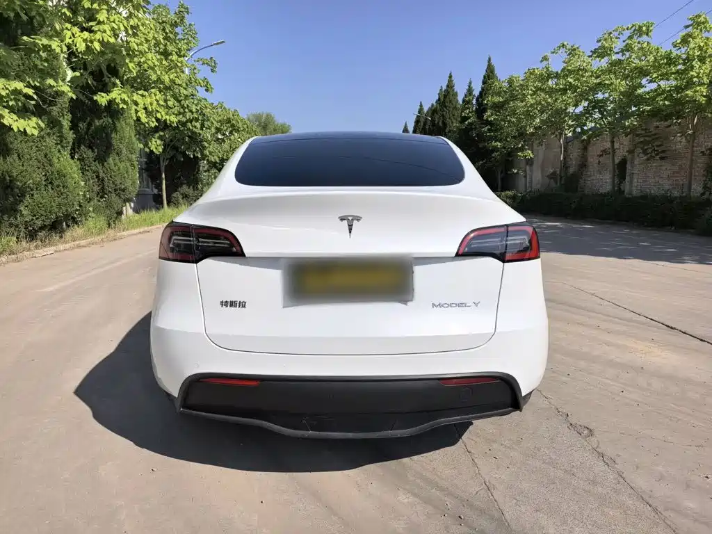 Tesla Model Y — фото 6