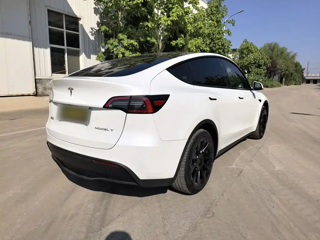 Tesla Model Y — фото 7