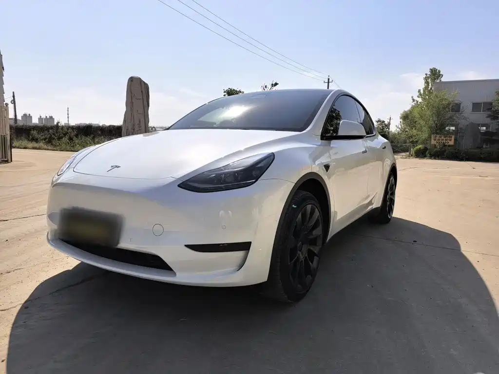 Tesla Model Y — фото 1