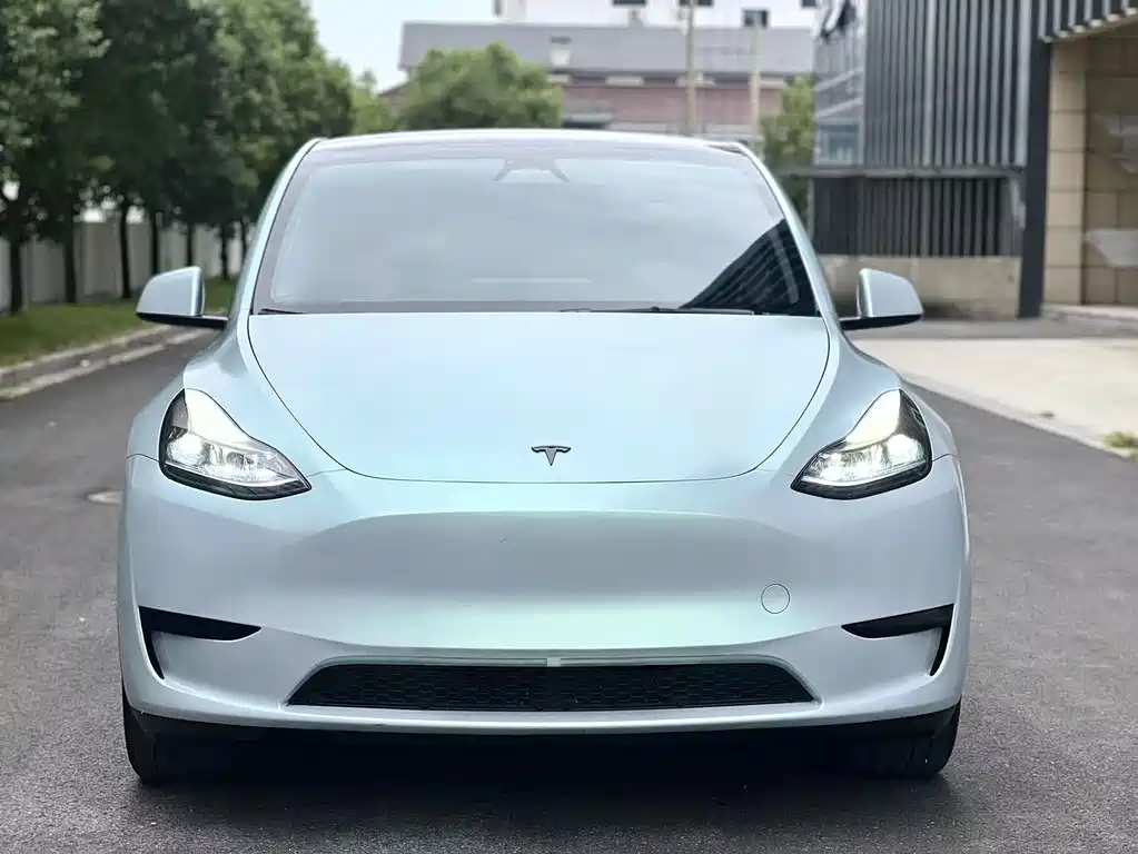 Tesla Model Y — фото 2