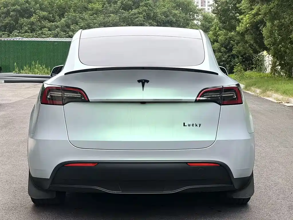 Tesla Model Y — фото 5
