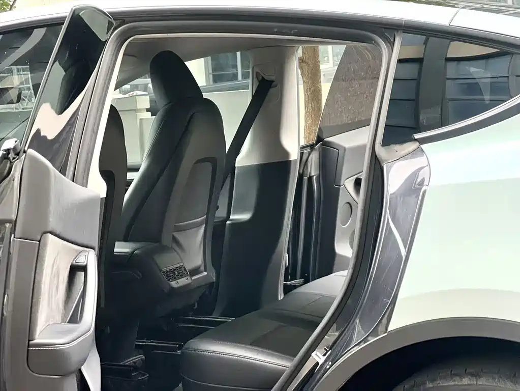 Tesla Model Y — фото 10