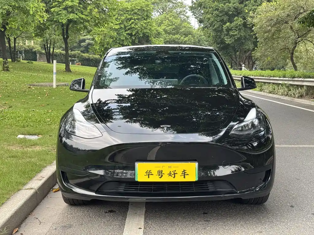 Tesla Model Y — фото 2