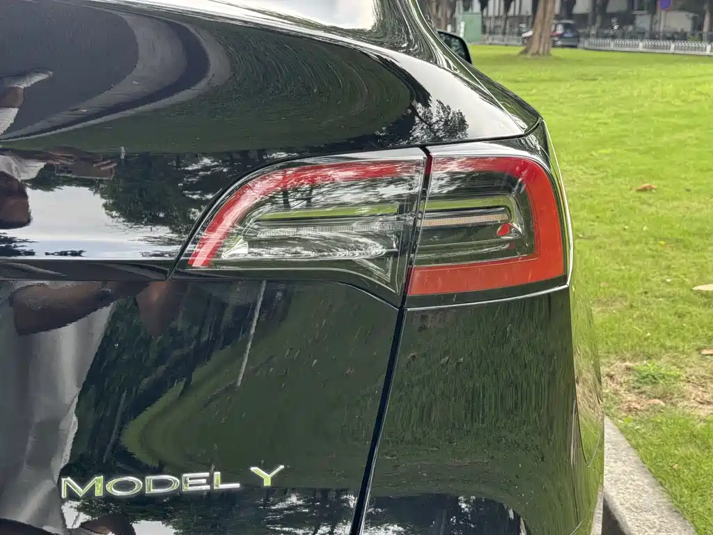 Tesla Model Y — фото 18