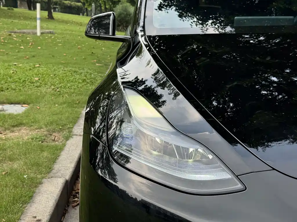 Tesla Model Y — фото 19