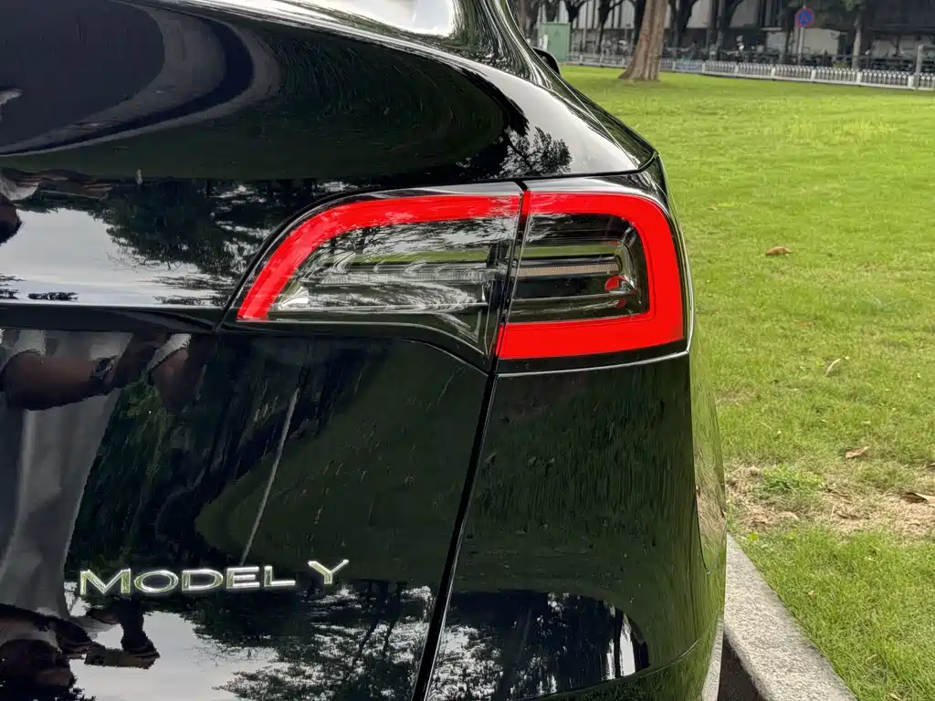Tesla Model Y — фото 20