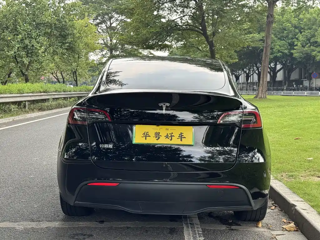 Tesla Model Y — фото 3