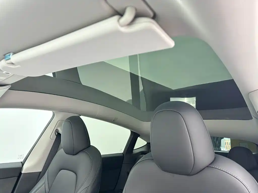 Tesla Model Y — фото 14