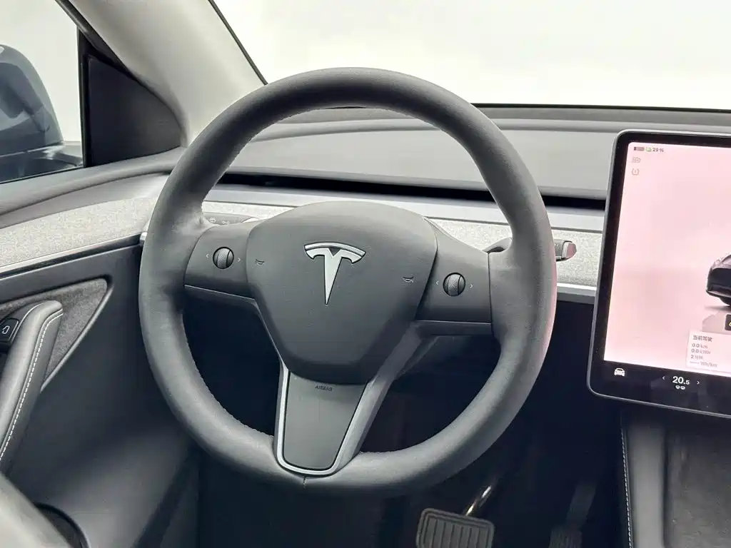 Tesla Model Y — фото 19