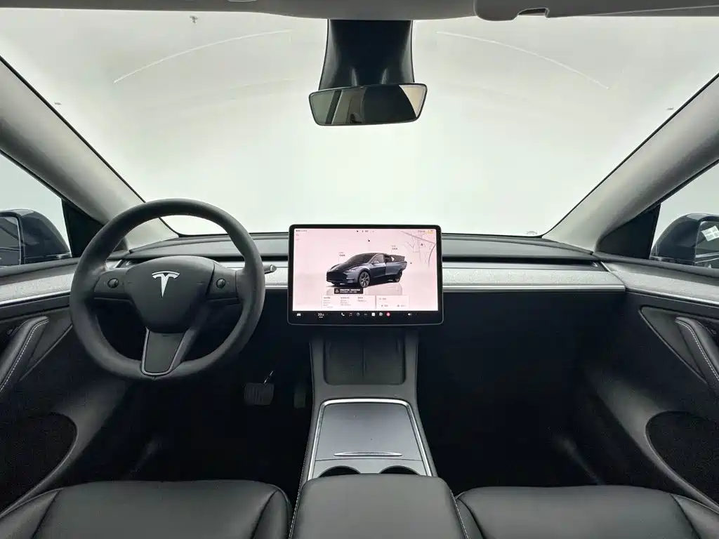 Tesla Model Y — фото 20