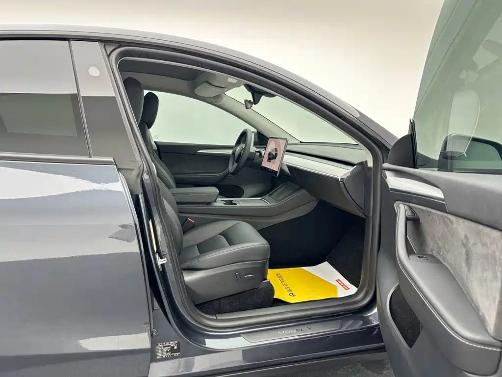 Tesla Model Y — фото 21