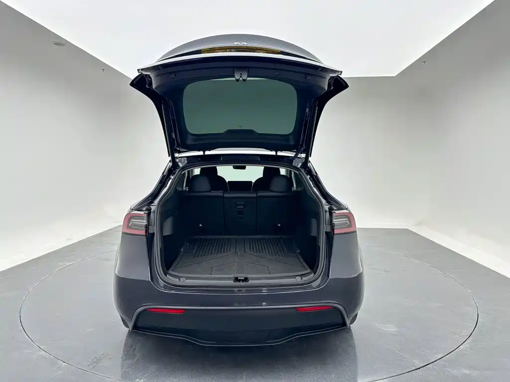 Tesla Model Y — фото 22