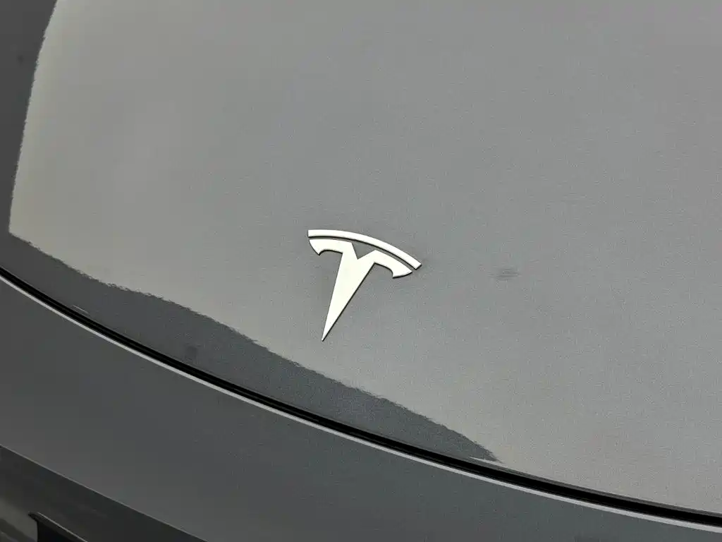 Tesla Model Y — фото 25