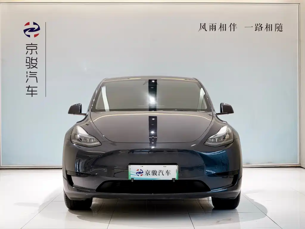 Tesla Model Y — фото 2