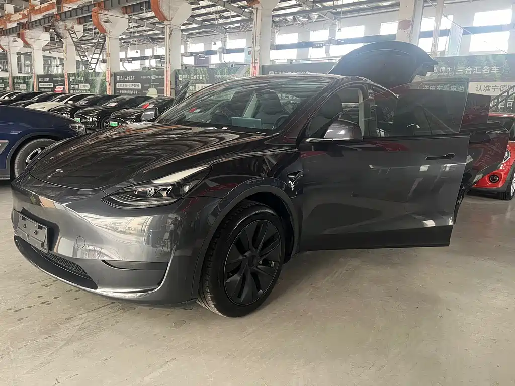 Tesla Model Y — фото 2