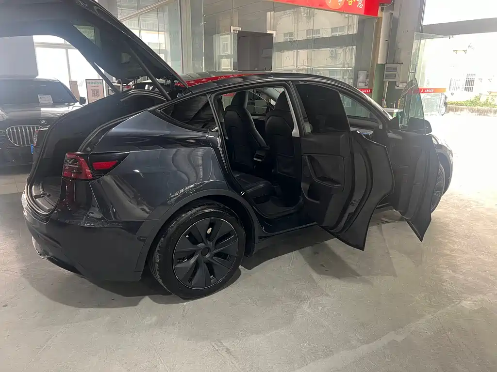 Tesla Model Y — фото 8