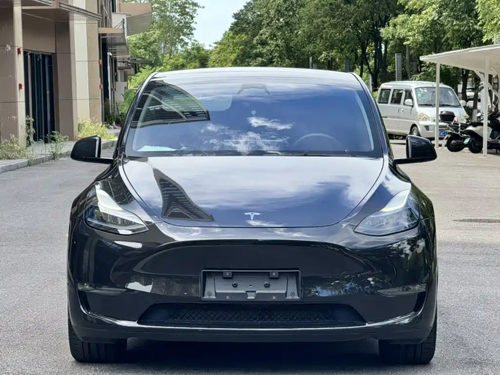 Tesla Model Y — фото 11