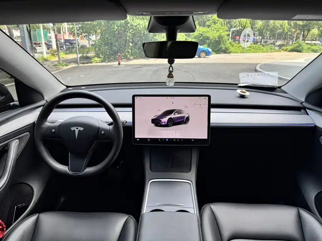 Tesla Model Y — фото 21