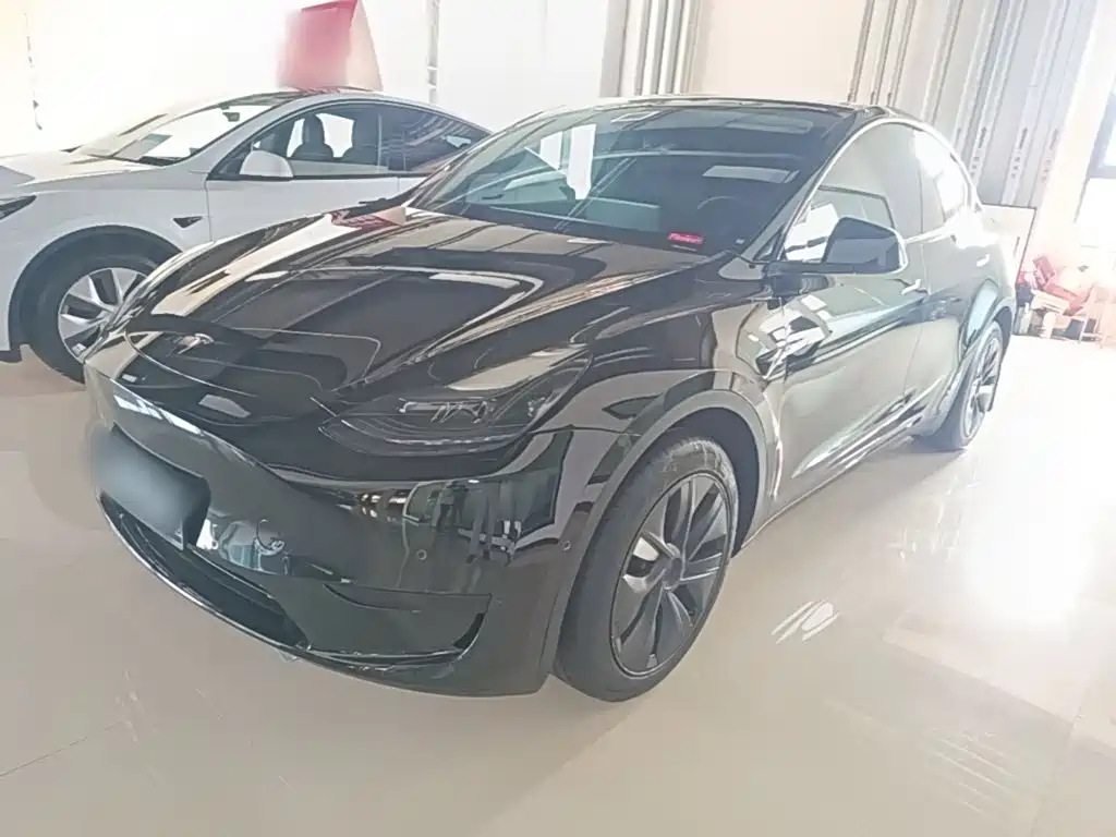 Tesla Model Y — фото 2