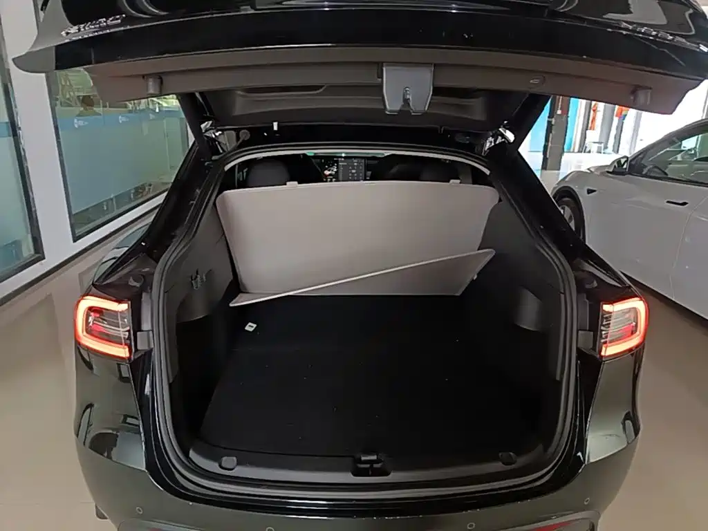 Tesla Model Y — фото 19