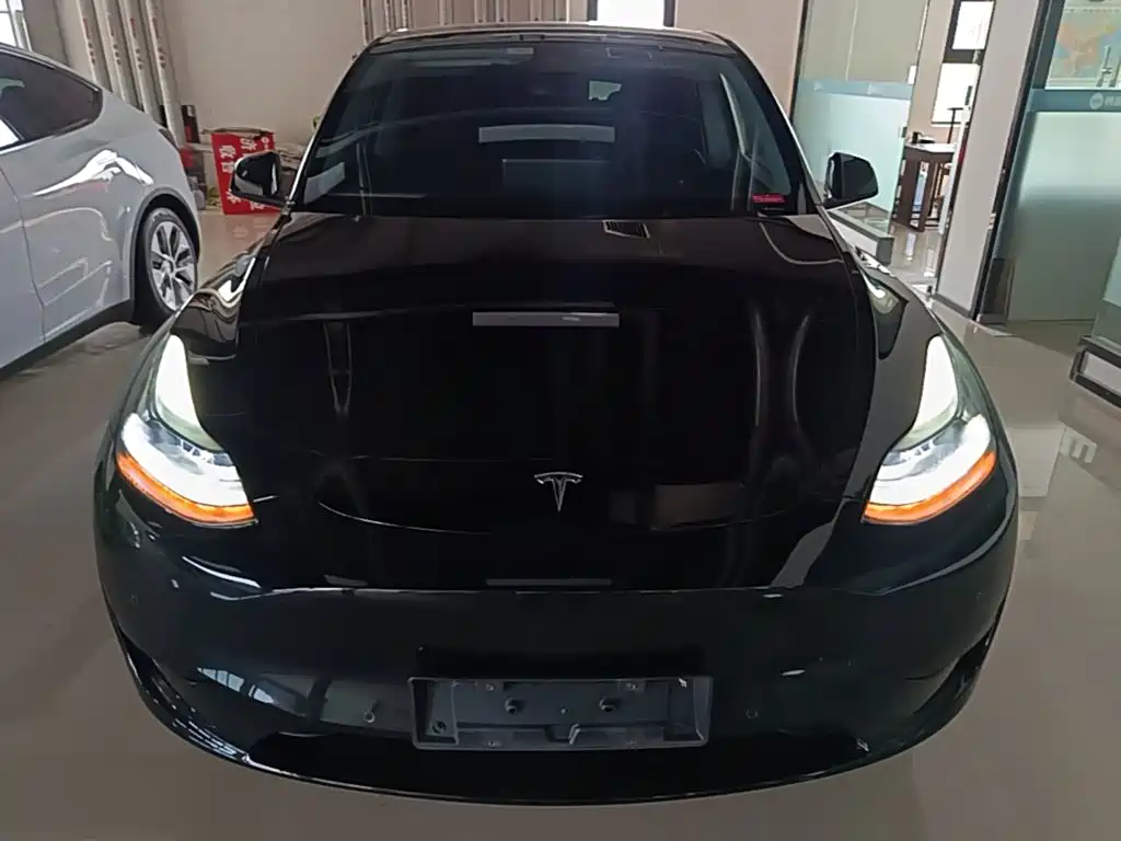Tesla Model Y — фото 3
