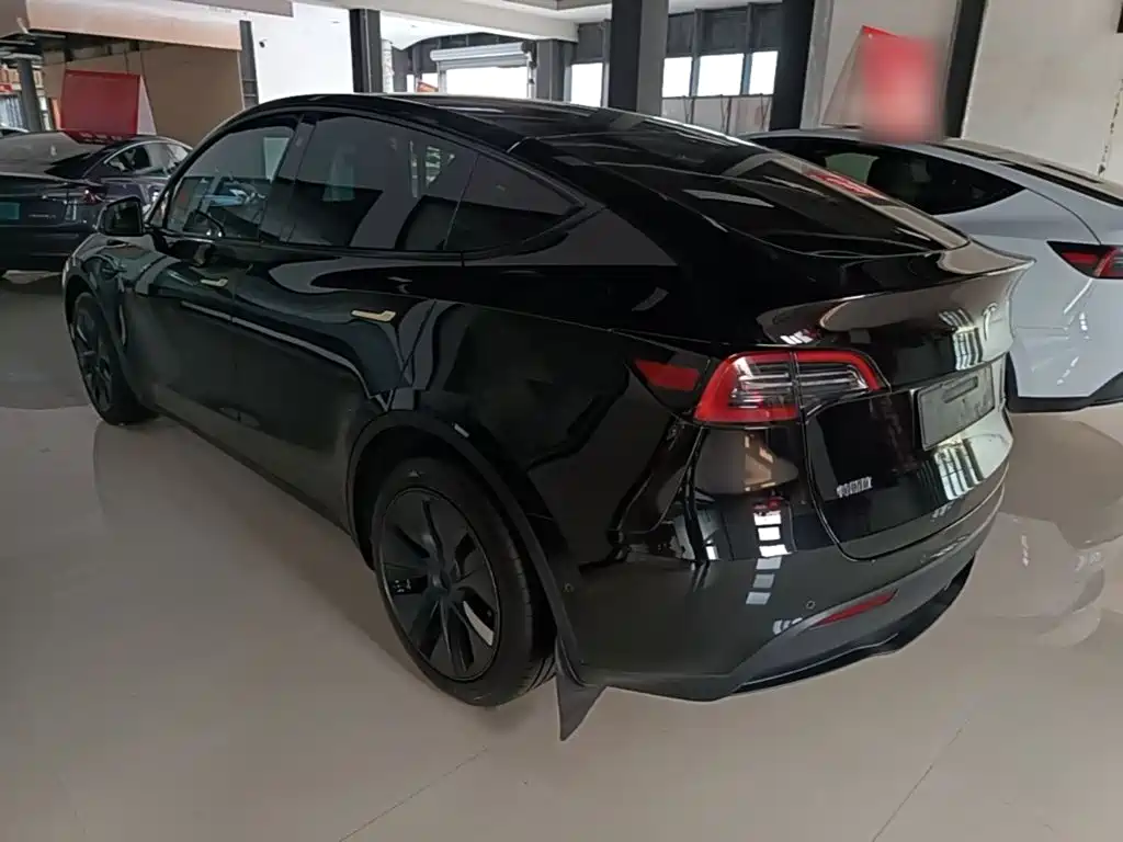 Tesla Model Y — фото 5