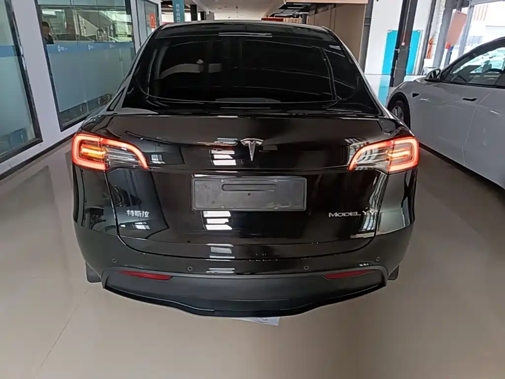 Tesla Model Y — фото 6