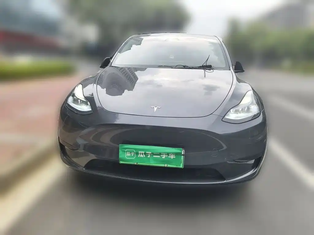 Tesla Model Y — фото 2