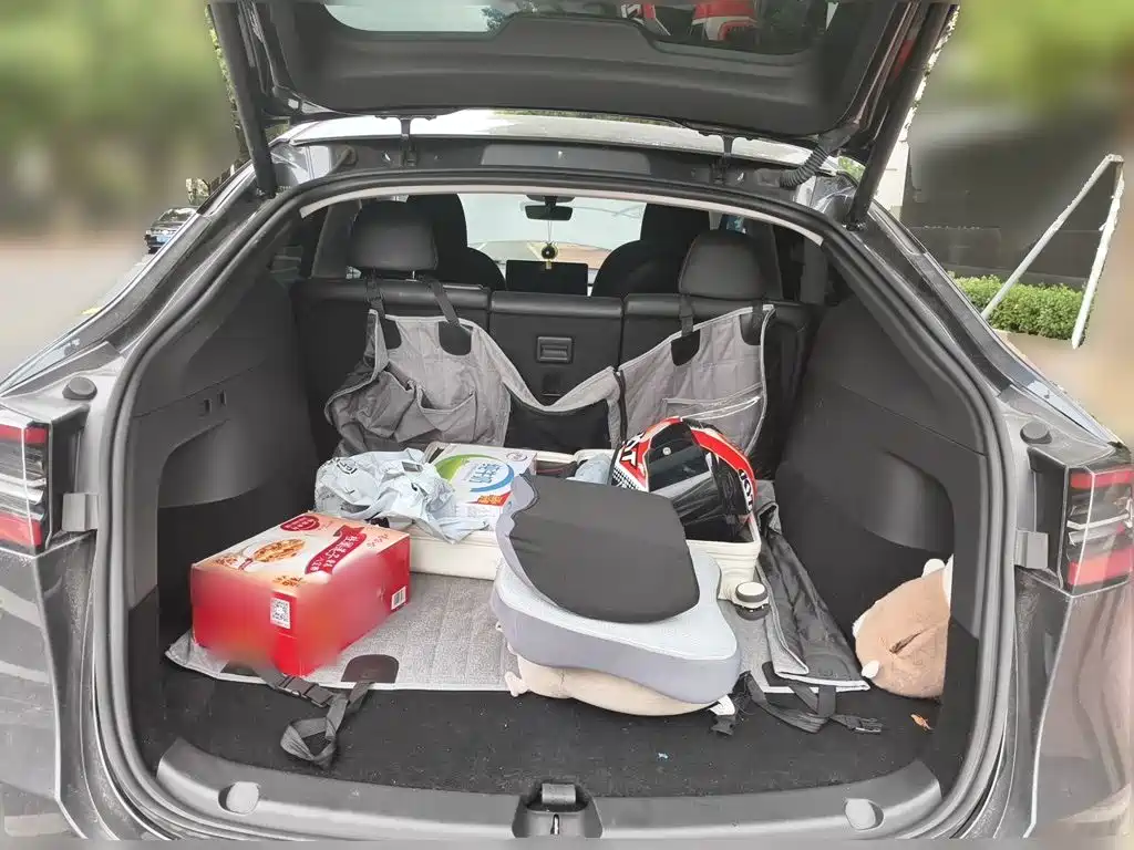 Tesla Model Y — фото 15
