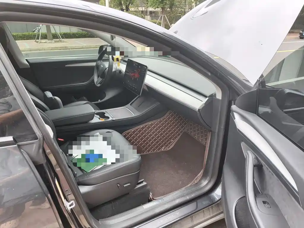 Tesla Model Y — фото 19