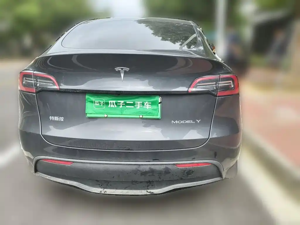 Tesla Model Y — фото 3