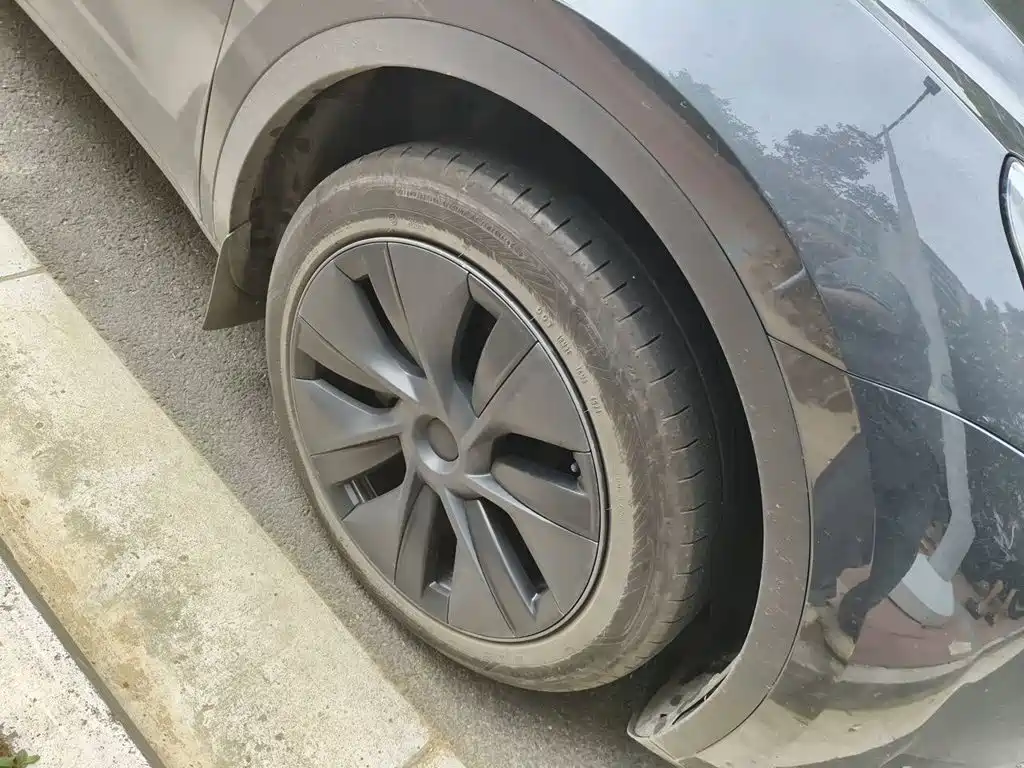 Tesla Model Y — фото 26