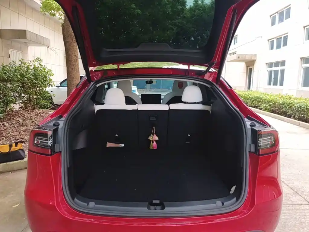 Tesla Model Y — фото 15