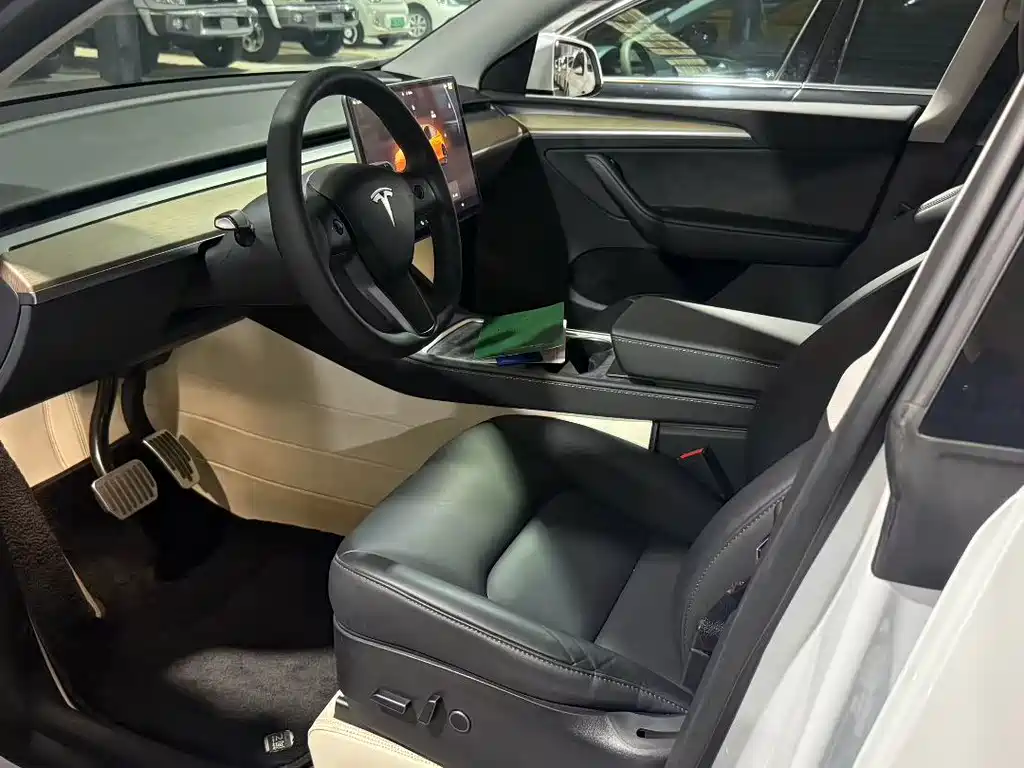 Tesla Model Y — фото 2
