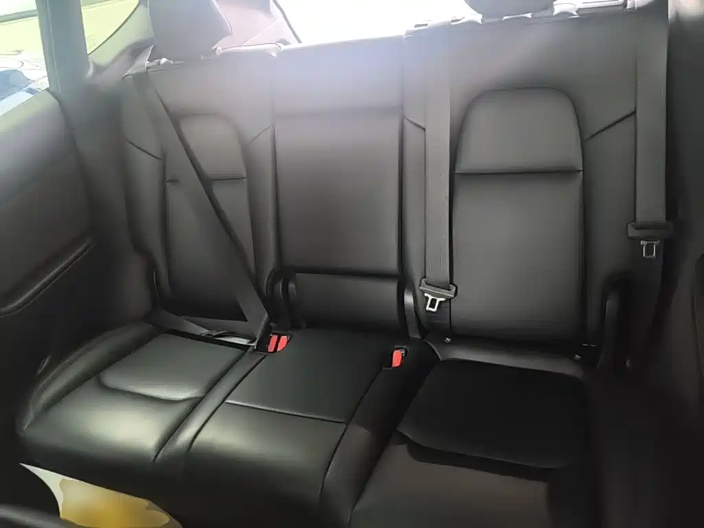 Tesla Model Y — фото 17
