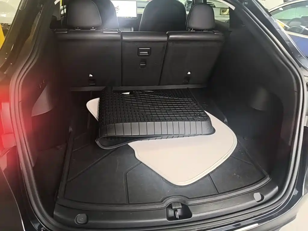 Tesla Model Y — фото 19